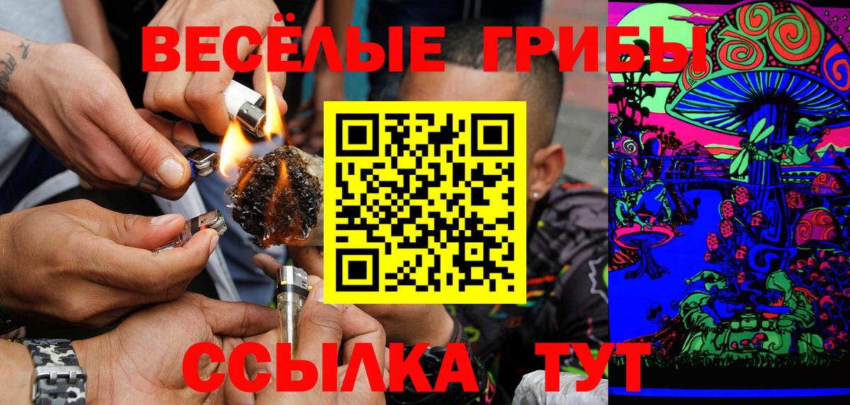 Энгельс  Псилоцибиновые грибы прущие грибы  Галлюциногенные грибы Cubensis  Вход с VPN 